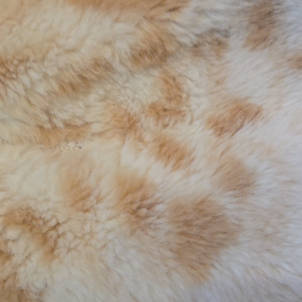 Calvin Klein Performance Cream/Tan Faux Fur/Fleece 1/4 Zip Lined Jacket - Picture 5 of 10